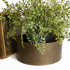 May include: A round, antique brass planter holds a lush, green, leafy plant. The planter has a simple, cylindrical shape with a slightly textured surface. A decorative, vintage book is partially visible on the left.