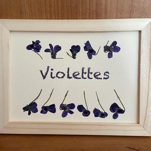 Erbario incorniciato, fatto a mano in Francia, con violette raccolte in giardino. Decorazione naturale e organica, con l'idea di regalare fiori in modo diverso.