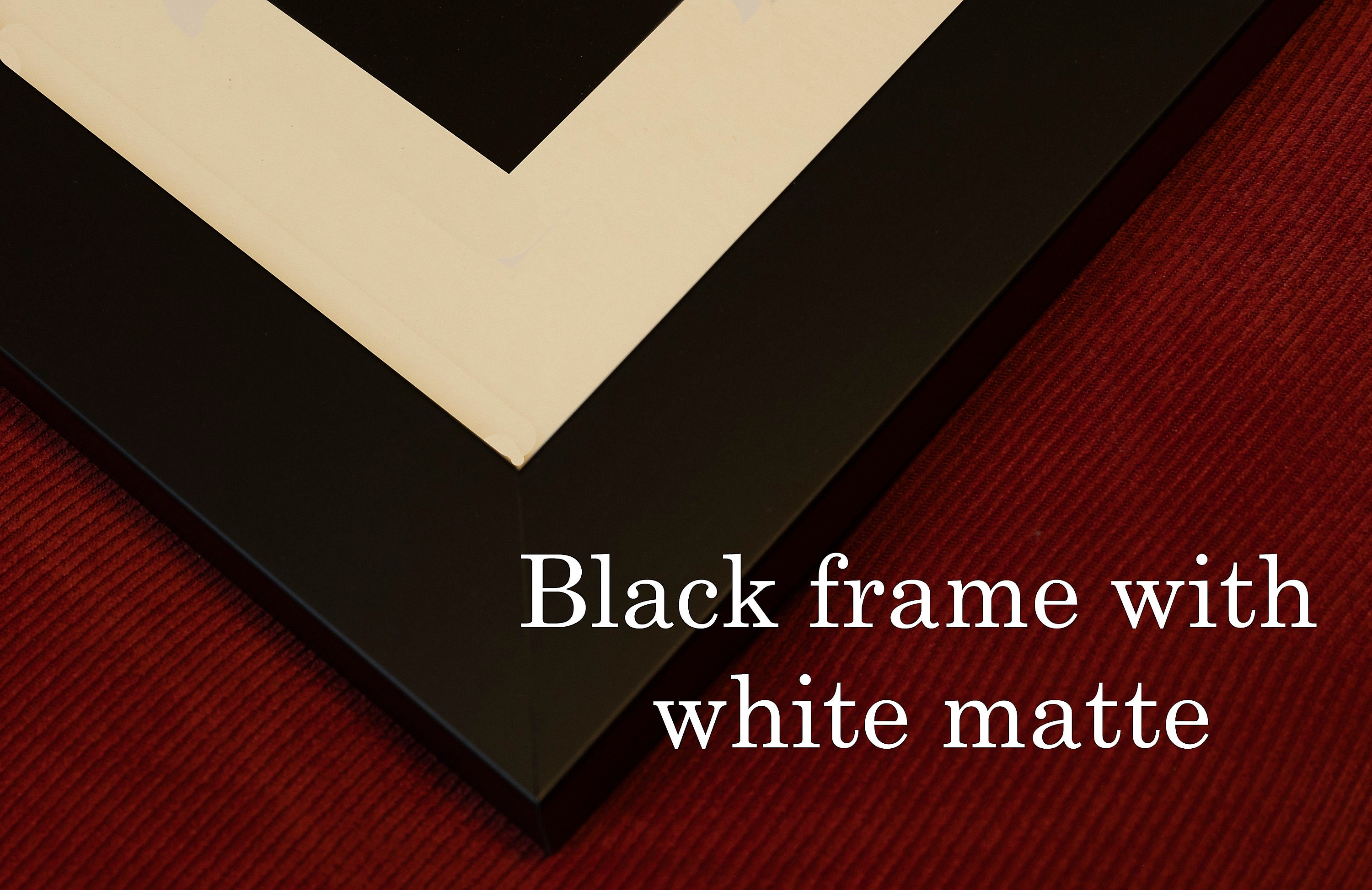 Driftwood Beach Jekyll Island Etsy