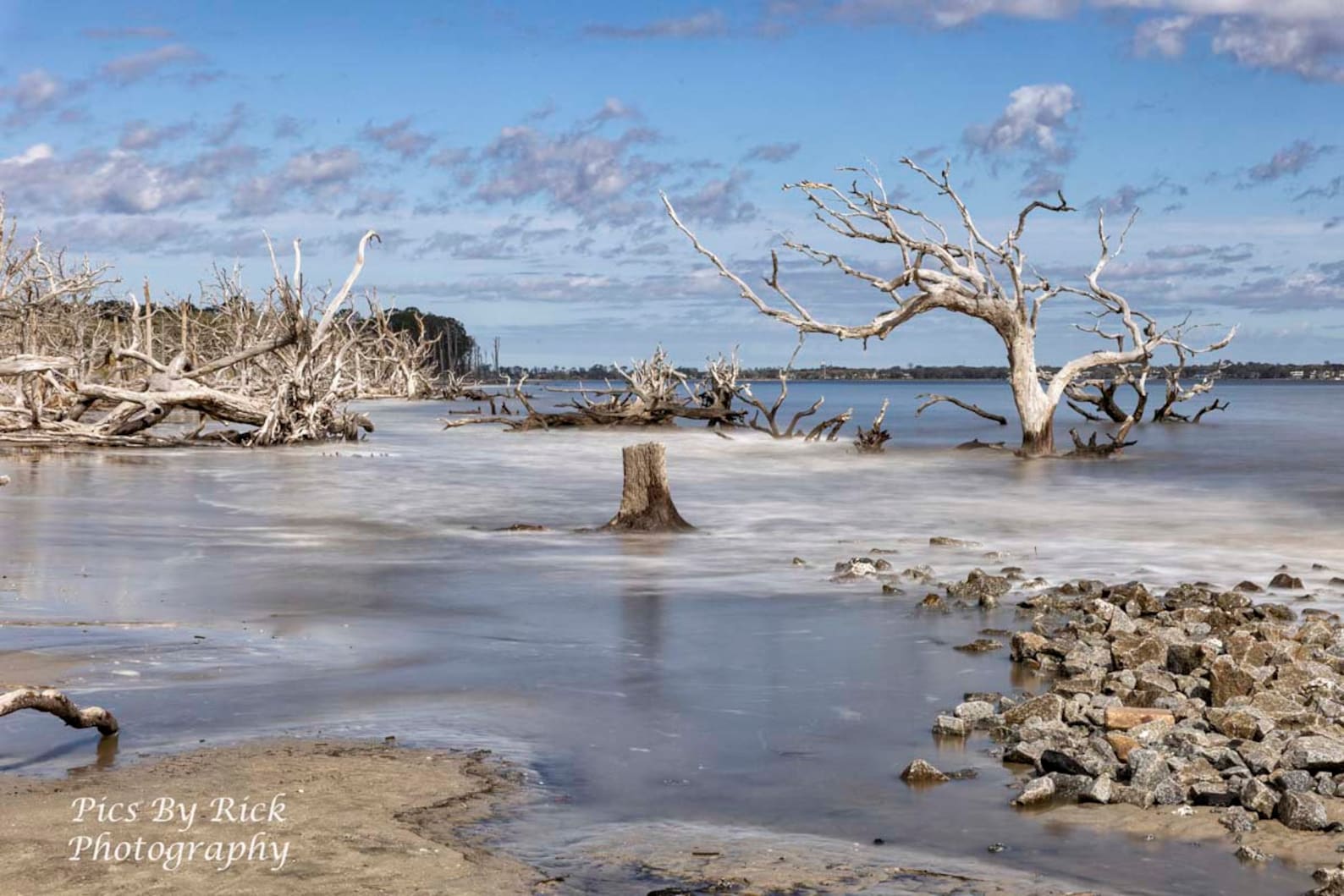 Driftwood Beach Jekyll Island Etsy