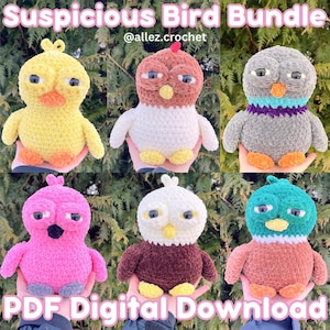 May include: Six handmade crochet birds in a variety of colours, including yellow, pink, grey, white, and teal. Each bird has a unique expression and is labelled "Suspicious Bird Bundle" and "PDF Digital Download".