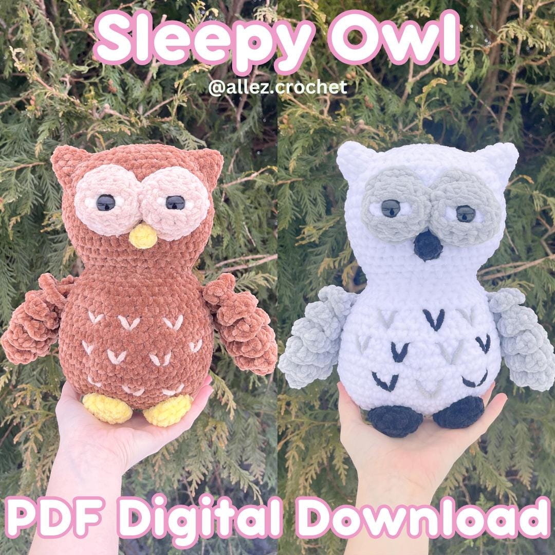 Sleepy Owl Crochet Pattern PDF Digital Download Amigurumi Stuffed Animal Suspicious Plushie Pattern