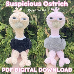 Puede incluir: Se muestran dos avestruces de peluche hechas a mano, una beige y negra, la otra rosa y gris. Se muestra el texto "Suspicious Ostrich" y "PDF DIGITAL DOWNLOAD". También es visible el nombre del creador.