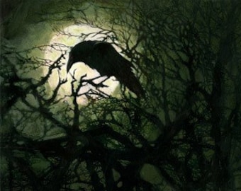 The Raven: Illustration Inspired by Edgar Allen Poe.
