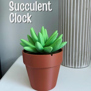 May include: A green succulent plant shaped like a clock in a brown terracotta pot. The numbers 1 through 12 are printed on the leaves of the plant.