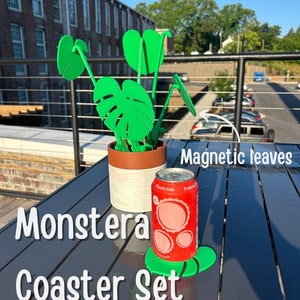 Monstera Coaster Set