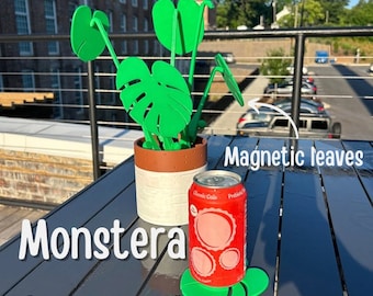 Monstera Untersetzer Set