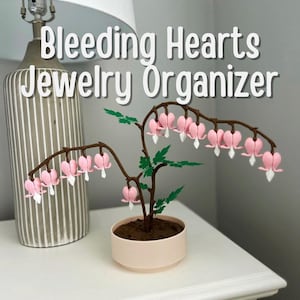 Bleeding Hearts Jewlery Organizer