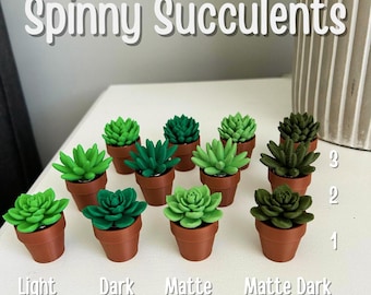 May include: A collection of miniature succulent plants in small brown pots. The succulents are in various shades of green, including light, dark, and matte green. The text "Spinny Succulents" is at the top of the image, with color names below.