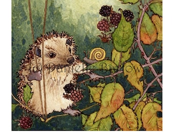May include: A watercolour painting of a hedgehog sitting on a blackberry bush. The hedgehog is brown and white with a pink nose. The blackberry bush has green leaves and black berries. There is a snail on the bush.