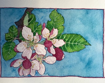 Apple blossom #2 botanical sketch original painting