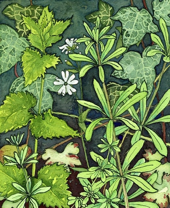 A4 print 'April Hedgerow’archival somerset paper