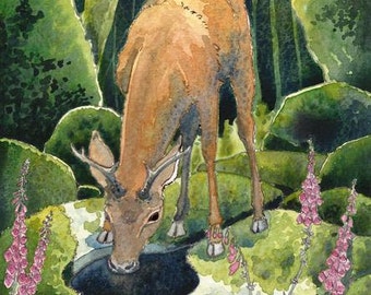 Heart of the forest A4 print by Danielle Barlow