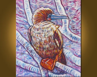 Art Painting -- Red Footed Booby -- 20 x 24 inch Original Oil Painting by Elizabeth Graf