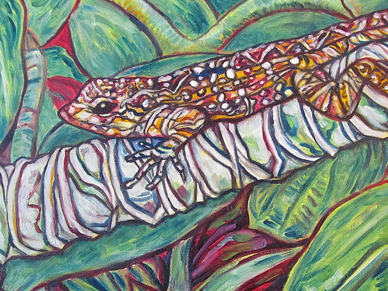 Garden Gecko 20 x 20 inch Original Oil Painting by Elizabeth Graf on Etsy Art Painting, Art & Collectibles image 3