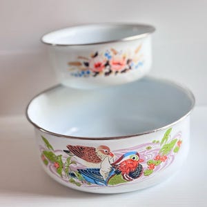 Vintage Enamel Bowl Set, Floral Bird Pattern | Farmhouse Kitchen Decor, Two-Piece Enamelware