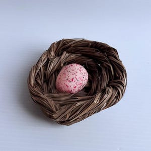 Puede incluir: Un pequeño nido de pájaro redondo hecho de fibras de hierba seca de color marrón oscuro. En el centro del nido descansa un único huevo liso de color rosa claro, con un patrón moteado de diminutos puntos rojos oscuros y marrones.