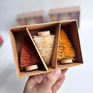 May include: A rectangular cardboard box containing three miniature bottle brush trees in shades of rust, cream, and golden yellow. Each tree features a conical shape with stiff bristles and is mounted on a small, circular, light-coloured wooden base.