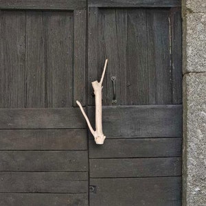 May include: A pair of dark brown wooden doors with a single, light-colored branch propped against them.