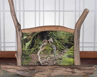 Driftwood Photo Stand, Photo Frame, Wooden Frame, Driftwood Art, Wooden Interior, Natural Art, 105
