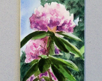 ACEO Original  Paintings -  Lavender Rhododendron - Watercolor Painting - Artist Trading Cards - Art Cards - 2 1/2" x 3 1/2" - Fine Art