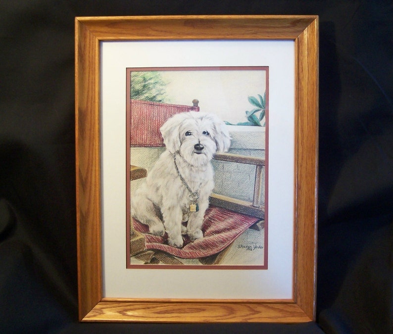 Original Colored Pencil Drawing Maltese Dog in Etsy