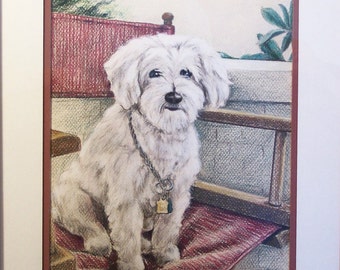 Original Colored Pencil Drawing -  Maltese Dog in Director's Chair with 12x16 Inch Mat - Dog Painting - Pet Portrait - White Dog