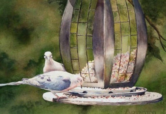 Bird Art Limited Edition Print Watercolor Painting Etsy