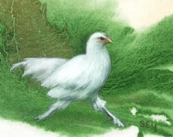 ACEO Limited Edition Print - Chicken Art - Reproduction - 2 1/2" x 3 1/2" - Bird Painting - Green & White - Artist Trading Cards - Art Card