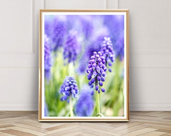 Grape Hyacinth Photo - Digital Download - Instant Download - Printable Photography - Purple Flowers - Spring - Nature Art