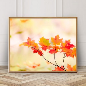 Autumn Leaves Photo - Digital Download - Instant Download - Printable Photography - Nature Art - Fall Color - Orange Leaves