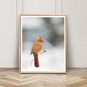 Female Cardinal Photo - Digital Download - Instant Download - Printable Photography - Bird Photo - Snowy Cardinal