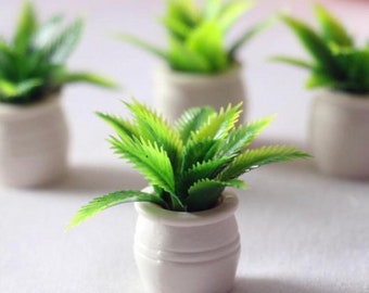 May include: Four small potted plants with green leaves. The pots are white ceramic and have a simple design.