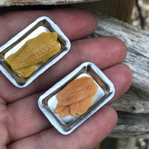 Miniaturfisch - Art Ihrer Wahl