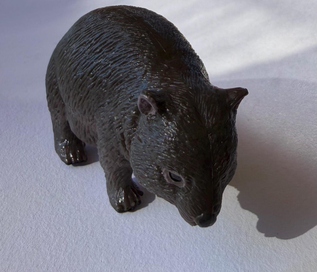 Miniature Wombat Animal - Etsy