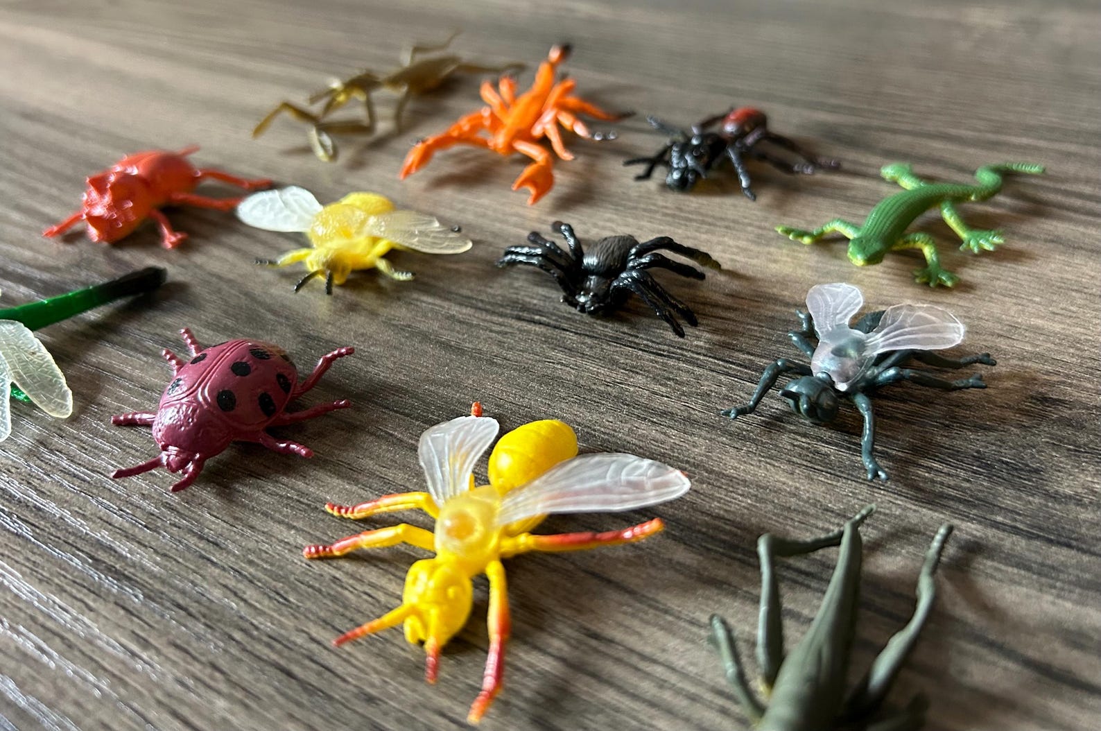 Miniature Clay Insects Miniature Insects - 12 Pieces - Your Choice Type - Etsy