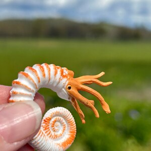 Puppenhausminiatur - Sea Life - nach Wahl