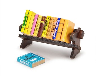 May include: A miniature wooden bookshelf with a row of colorful books, including a blue book with the title "My Biography" on the floor in front of the shelf.