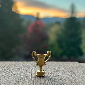 May include: A small, gold-colored trophy with two curved handles. The trophy is set against a blurred background of trees and a sunset. The trophy is made of metal and has a detailed design.