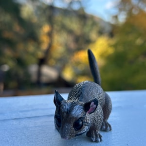 Petauro dello zucchero in miniatura per casa delle bambole