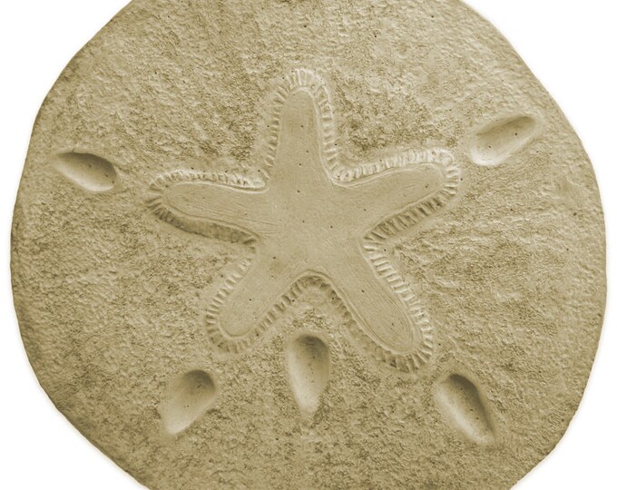Sand Dollar Stepping Stone Mold - Etsy