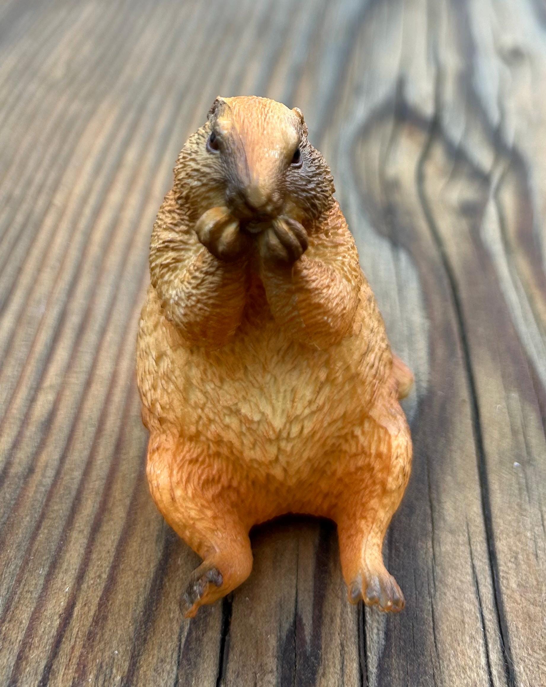 Screaming marmot - Etsy 日本