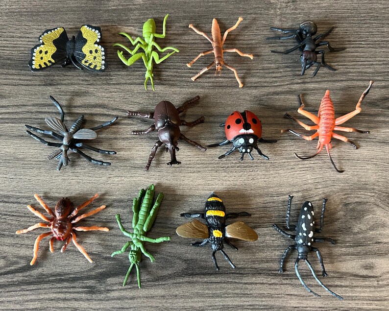 Miniature Insects - 12 Pieces - Your Choice Type - Etsy