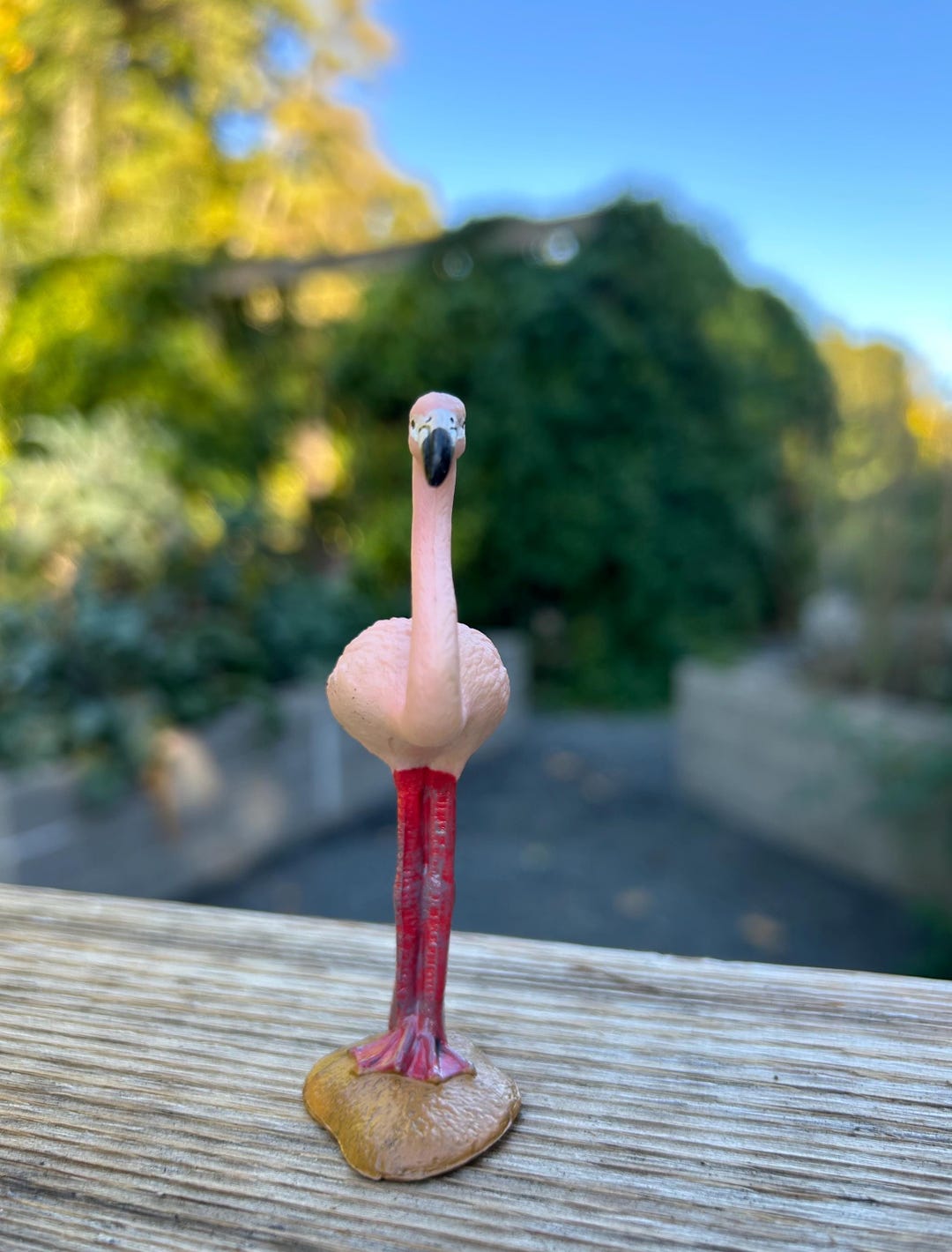 Mini Flamingo Miniature Flamingo - Etsy