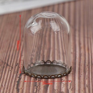 Puede incluir: Una cúpula de vidrio transparente con una base de metal decorativa. La cúpula mide 7,6 cm de alto y 6,4 cm de ancho.