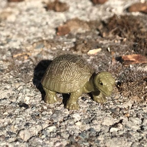 Dollhouse Miniature Micro Tortoise