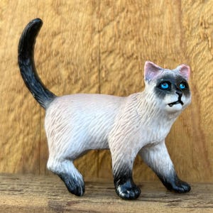 Miniature Cat