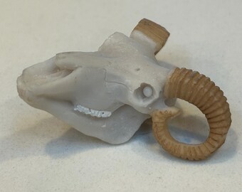 May include: A white ceramic ram skull with brown horns. The skull has a detailed design and is a decorative object.