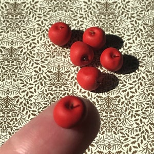 Mele in miniatura per casa delle bambole - 6 pezzi