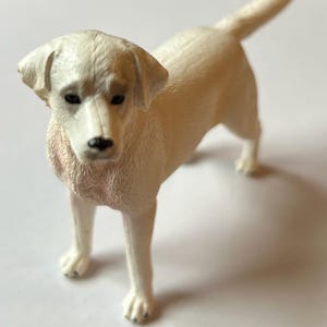Miniature Dog